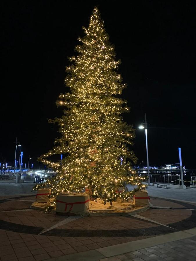Pet Friendly Condos At Friday Harbour Innisfil Extérieur photo