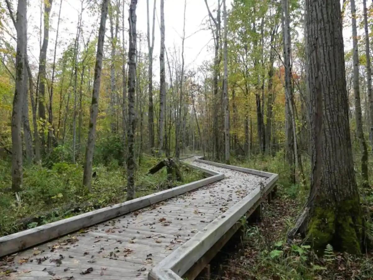 Pet Friendly Condos At Friday Harbour Innisfil Extérieur photo